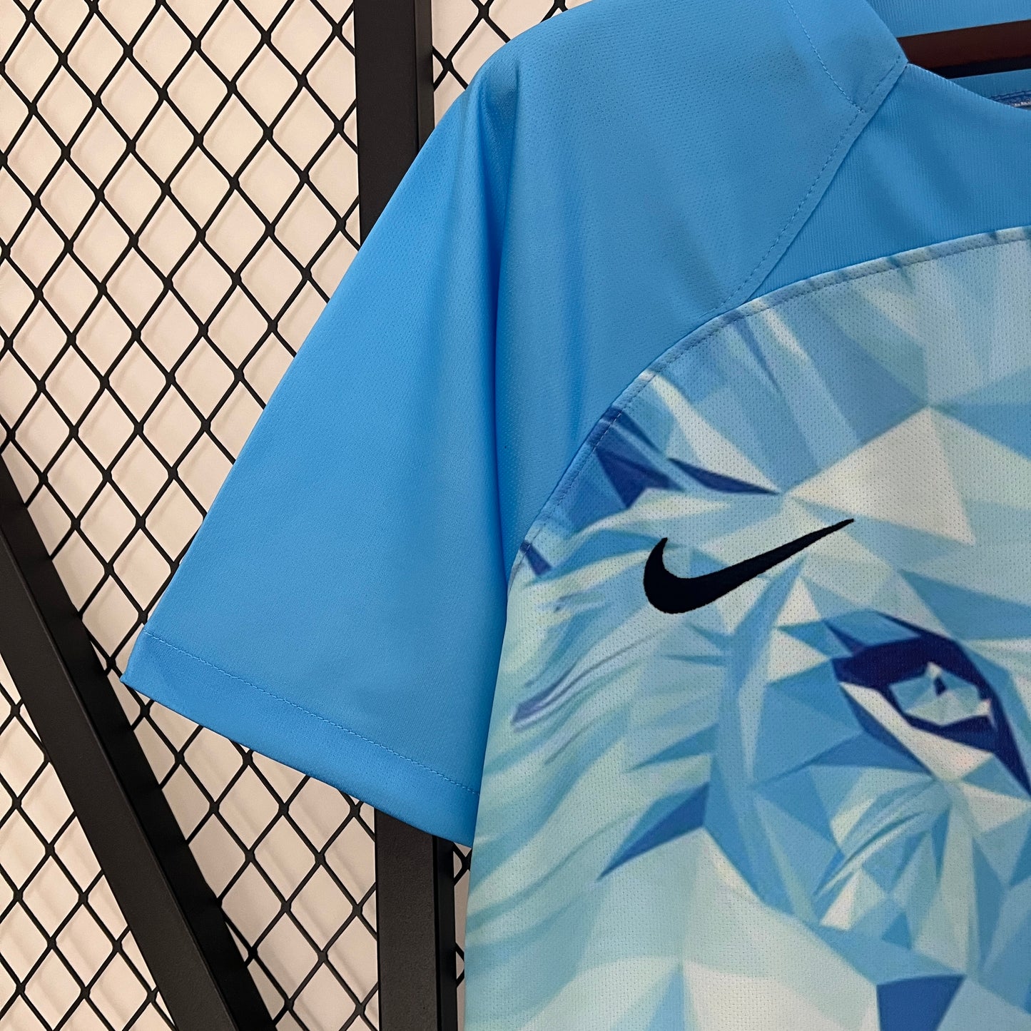 Netherlands’ Special Edition Jersey - Classic XI