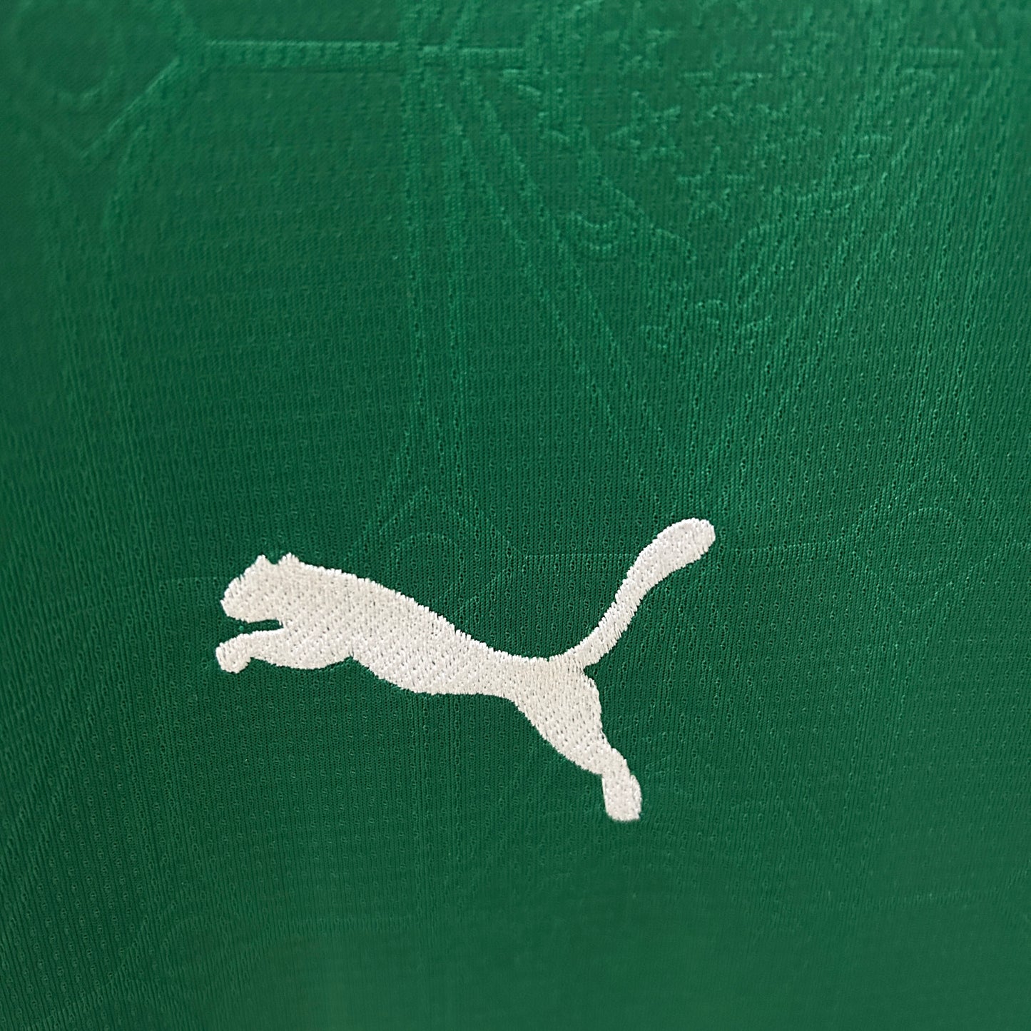 Palmeiras’ Home Jersey 2025/26