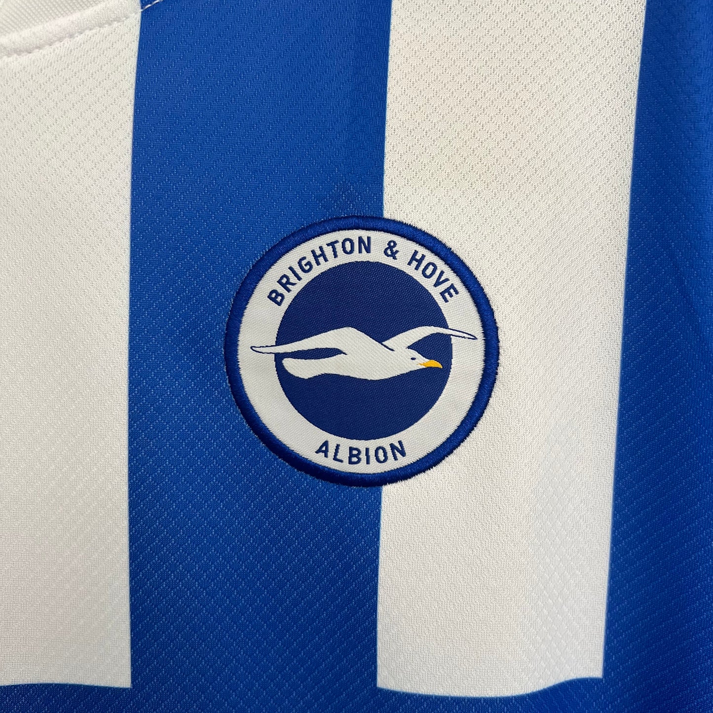 Brighton’s Home Jersey 2025/26