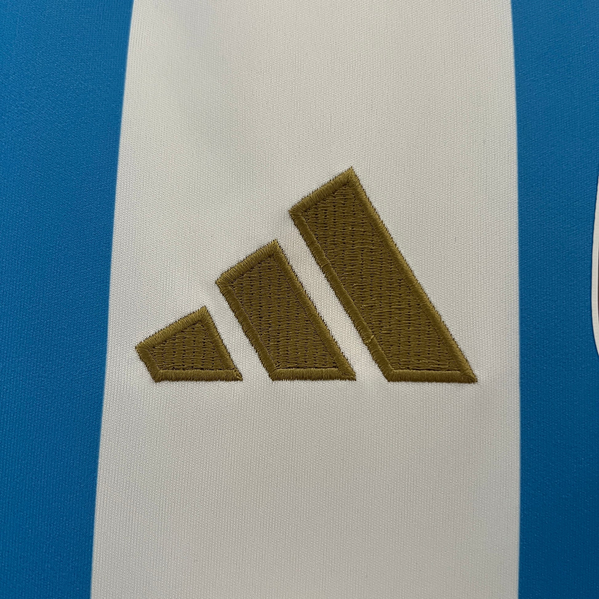Argentina Home 2024 (World Cup Badge) - Classic XI