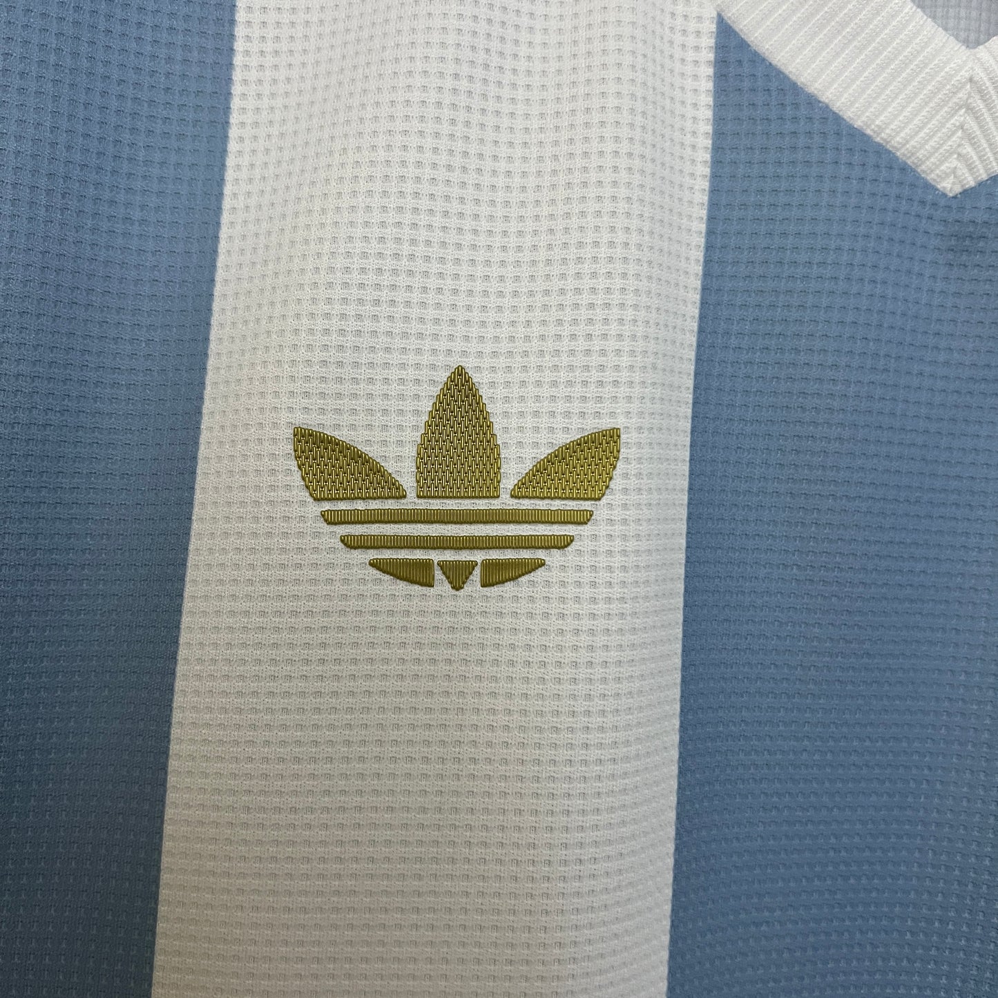 Argentina 50th Years Limited Edition - Classic XI